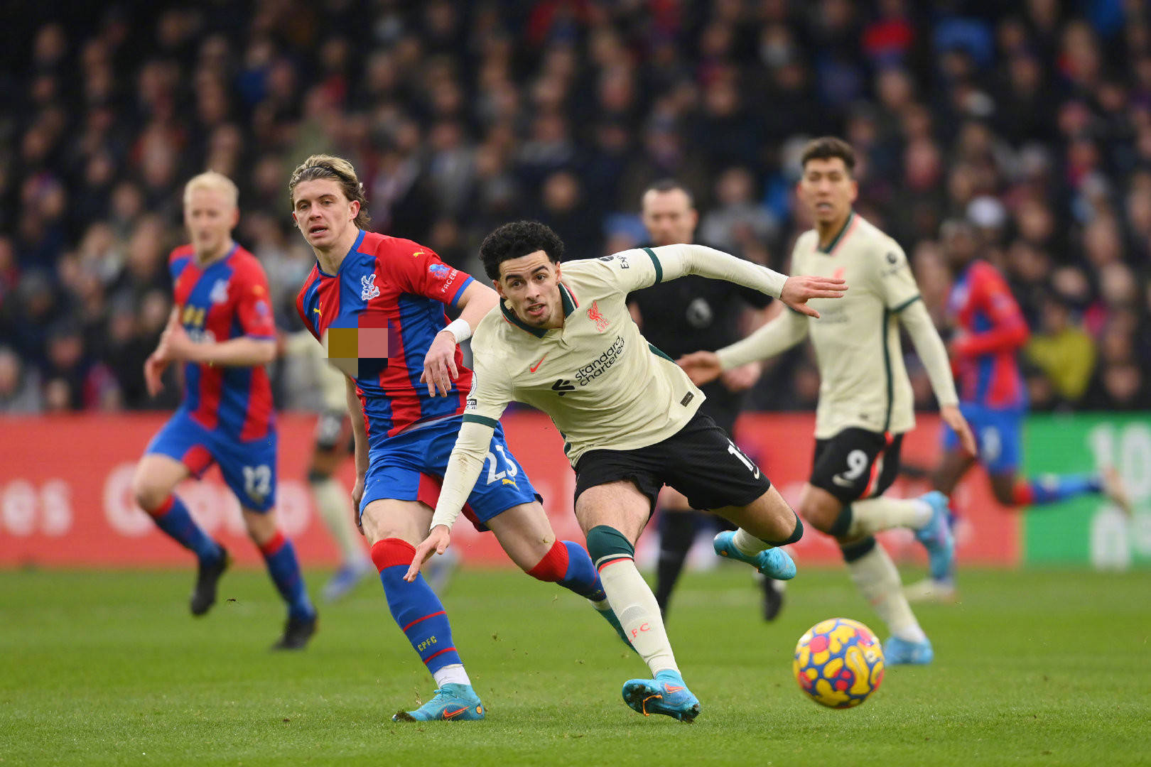 竞争的行为 竞争的行为